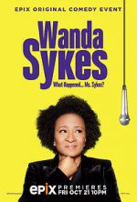 Watch Wanda Sykes: What Happened... Ms. Sykes? Megavideo