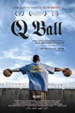 Watch Q Ball Megavideo