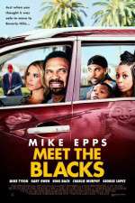 Watch Meet the Blacks Megavideo