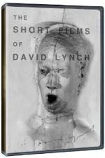 Watch The Short Films of David Lynch Megavideo