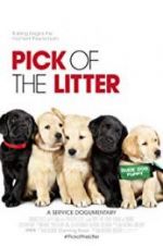 Watch Pick of the Litter Megavideo