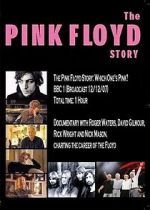 Watch The Pink Floyd Story: Which One\'s Pink? Megavideo