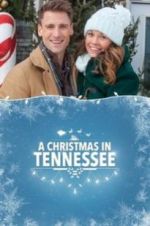 Watch A Christmas in Tennessee Megavideo
