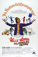 Watch Willy Wonka & the Chocolate Factory Megavideo