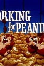 Watch Working For Peanuts Megavideo