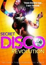 Watch The Secret Disco Revolution Megavideo