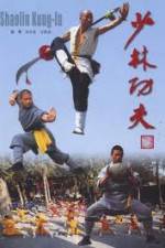 Watch IMAX - Shaolin Kung Fu Megavideo