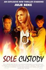 Watch Sole Custody Megavideo