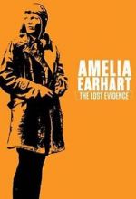 Watch Amelia Earhart: The Lost Evidence Megavideo