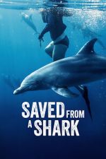 Watch Saved from a Shark Megavideo