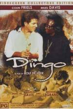 Watch Dingo Megavideo
