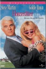 Watch HouseSitter Megavideo