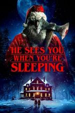 Watch He Sees You When You\'re Sleeping Megavideo