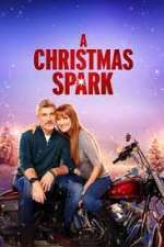 Watch A Christmas Spark Megavideo