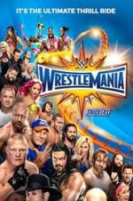 Watch WWE WrestleMania 33 Megavideo