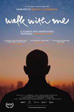 Watch Walk with Me Megavideo