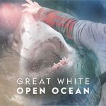 Watch Great White Open Ocean Megavideo