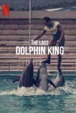 Watch The Last Dolphin King Megavideo