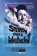 Watch Yusuf Hawkins: Storm Over Brooklyn Megavideo