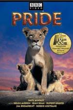 Watch Pride Megavideo