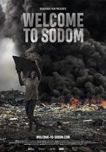 Watch Welcome to Sodom Megavideo