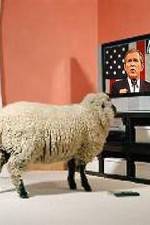 Watch Educating The Sheeple Megavideo