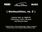 Watch Monkeyshines, No. 2 Megavideo