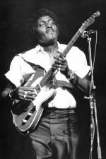 Watch Albert Collins in Concert Megavideo