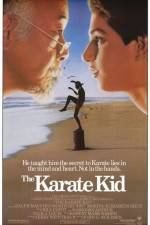 Watch The Karate Kid Megavideo