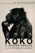 Watch Koko, le gorille qui parle Megavideo