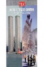 Watch World Trade Center Anatomy of the Collapse Megavideo