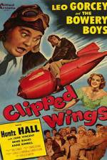 Watch Clipped Wings Megavideo