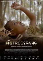 Watch Fig Tree Megavideo