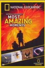 Watch National Geographics Most Amazing Moments Megavideo