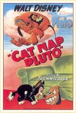 Watch Cat Nap Pluto Megavideo