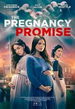 Watch The Pregnancy Promise Megavideo
