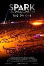 Watch Spark A Burning Man Story Megavideo