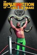 Watch The Resurrection of Jake The Snake Roberts Megavideo