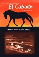Watch El Caballo: The Wild Horses of North America Megavideo