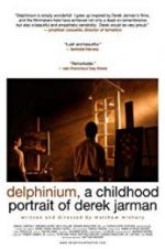 Watch Delphinium: A Childhood Portrait of Derek Jarman Megavideo