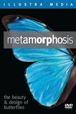 Watch Metamorphosis: The Beauty and Design of Butterflies Megavideo
