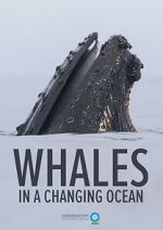 Watch Whales in a Changing Ocean (Short 2021) Megavideo