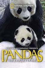 Watch Pandas: The Journey Home Megavideo