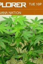 Watch Marijuana Nation Megavideo