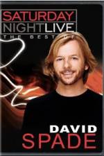 Watch Saturday Night Live The Best of David Spade Megavideo