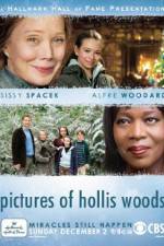 Watch Pictures of Hollis Woods Megavideo