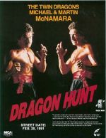Watch Dragon Hunt Megavideo