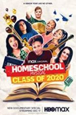 Watch Homeschool Musical: Class of 2020 Megavideo