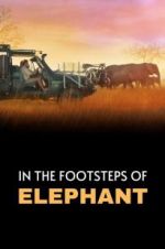 Watch In the Footsteps of Elephant Megavideo