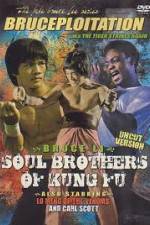 Watch Soul Brothers of Kung Fu Megavideo